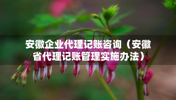 安徽企業(yè)代理記賬咨詢（安徽省代理記賬管理實施辦法）