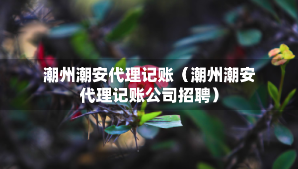 潮州潮安代理記賬（潮州潮安代理記賬公司招聘）