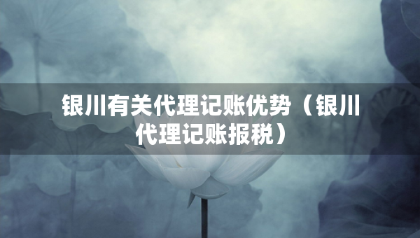 銀川有關(guān)代理記賬優(yōu)勢（銀川代理記賬報稅）