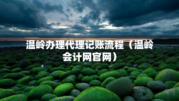 溫嶺辦理代理記賬流程（溫嶺會計網(wǎng)官網(wǎng)）