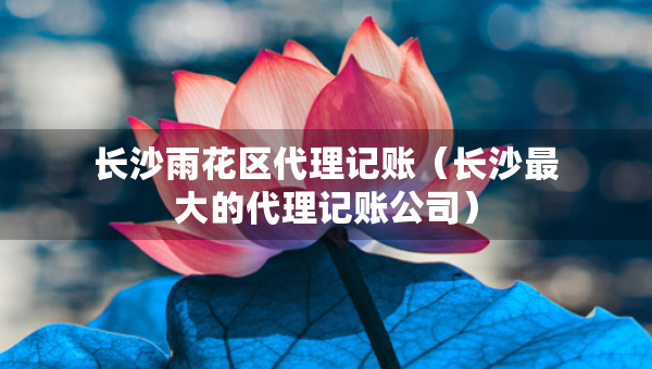 長沙雨花區(qū)代理記賬（長沙最大的代理記賬公司）