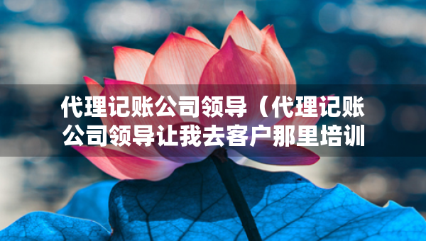 代理記賬公司領(lǐng)導(dǎo)（代理記賬公司領(lǐng)導(dǎo)讓我去客戶那里培訓(xùn)）