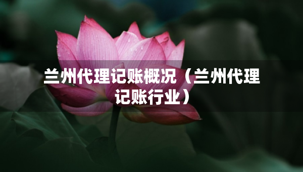 蘭州代理記賬概況（蘭州代理記賬行業(yè)）