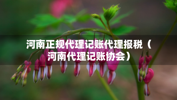 河南正規(guī)代理記賬代理報稅（河南代理記賬協(xié)會）