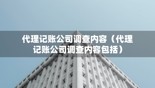 代理記賬公司調查內容（代理記賬公司調查內容包括）