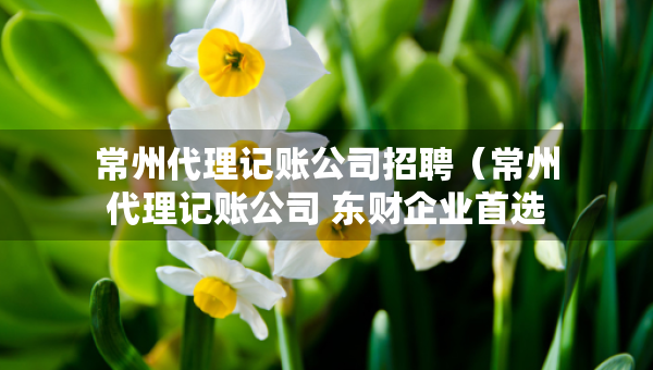 常州代理記賬公司招聘（常州代理記賬公司 東財企業(yè)首選）