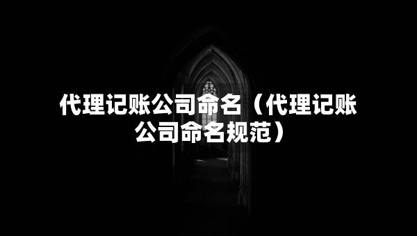 代理記賬公司命名（代理記賬公司命名規(guī)范）