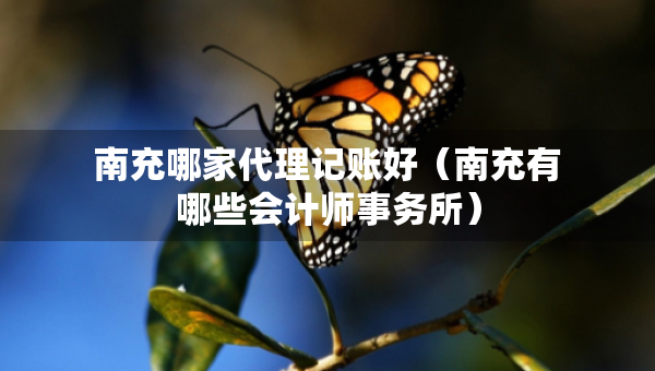 南充哪家代理記賬好（南充有哪些會計師事務(wù)所）