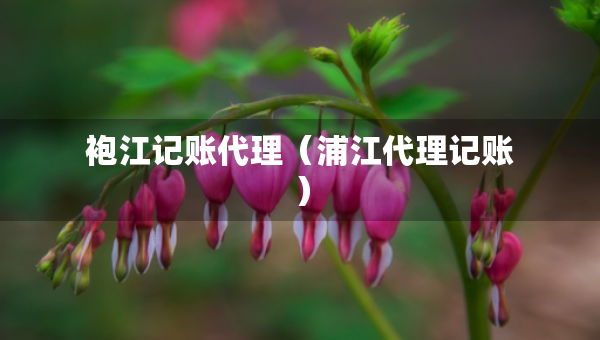 袍江記賬代理（浦江代理記賬）