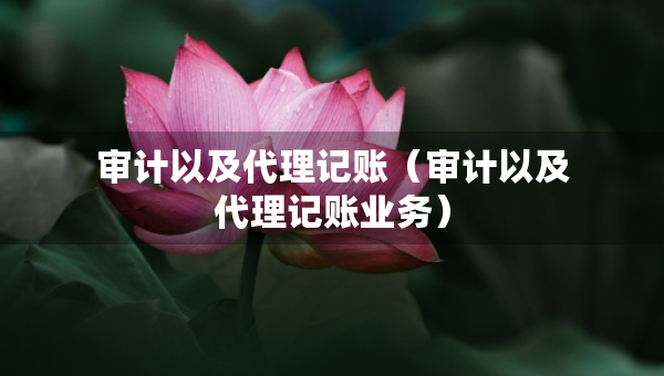 審計(jì)以及代理記賬（審計(jì)以及代理記賬業(yè)務(wù)）