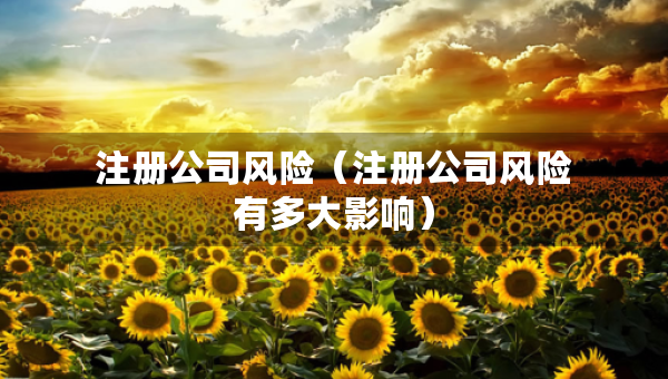 注冊(cè)公司風(fēng)險(xiǎn)（注冊(cè)公司風(fēng)險(xiǎn)有多大影響）