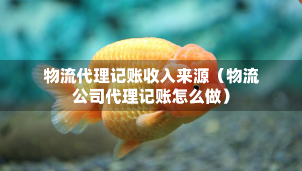 物流代理記賬收入來源（物流公司代理記賬怎么做）