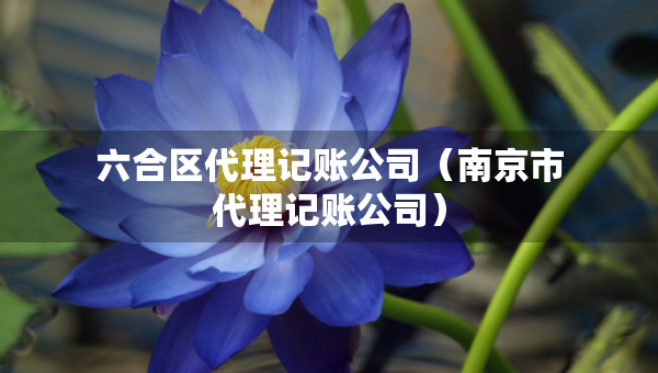 六合區(qū)代理記賬公司（南京市代理記賬公司）