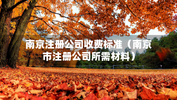 南京注冊(cè)公司收費(fèi)標(biāo)準(zhǔn)（南京市注冊(cè)公司所需材料）