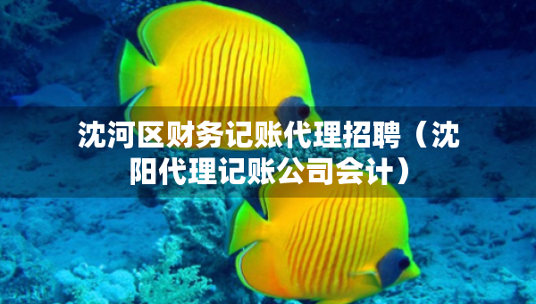 沈河區(qū)財務記賬代理招聘（沈陽代理記賬公司會計）