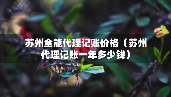 蘇州全能代理記賬價(jià)格（蘇州代理記賬一年多少錢）