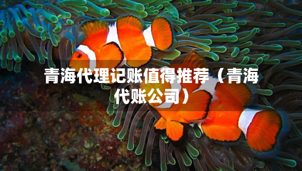 青海代理記賬值得推薦（青海代賬公司）