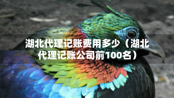 湖北代理記賬費用多少（湖北代理記賬公司前100名）