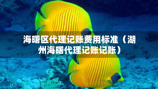 海曙區(qū)代理記賬費用標準（湖州海曙代理記賬記賬）