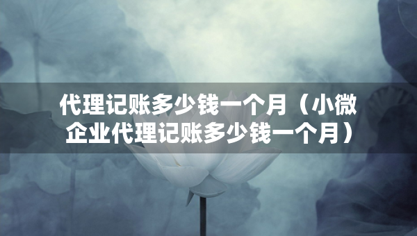 代理記賬多少錢一個月（小微企業(yè)代理記賬多少錢一個月）