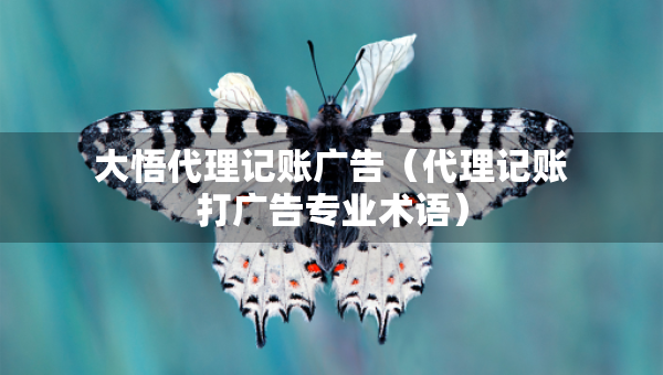 大悟代理記賬廣告（代理記賬打廣告專業(yè)術(shù)語）