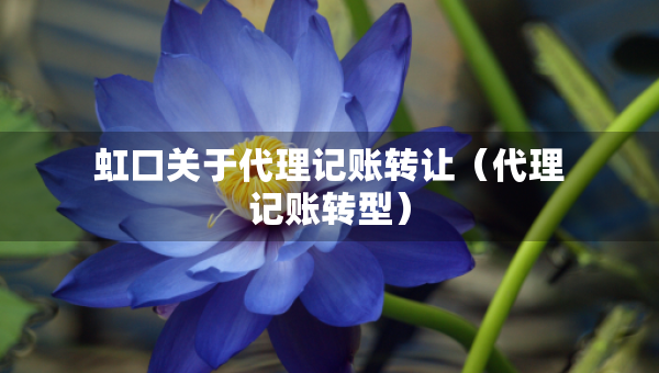 虹口關(guān)于代理記賬轉(zhuǎn)讓（代理記賬轉(zhuǎn)型）