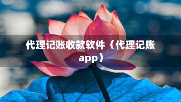 代理記賬收款軟件（代理記賬app）