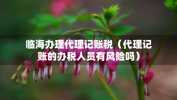 臨海辦理代理記賬稅（代理記賬的辦稅人員有風(fēng)險嗎）