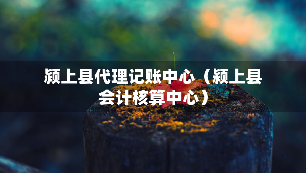 潁上縣代理記賬中心（潁上縣會(huì)計(jì)核算中心）