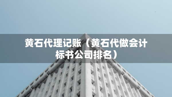 黃石代理記賬（黃石代做會計標書公司排名）