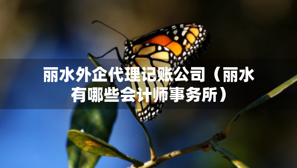 麗水外企代理記賬公司（麗水有哪些會計師事務(wù)所）