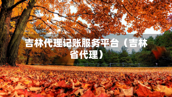 吉林代理記賬服務(wù)平臺（吉林省代理）