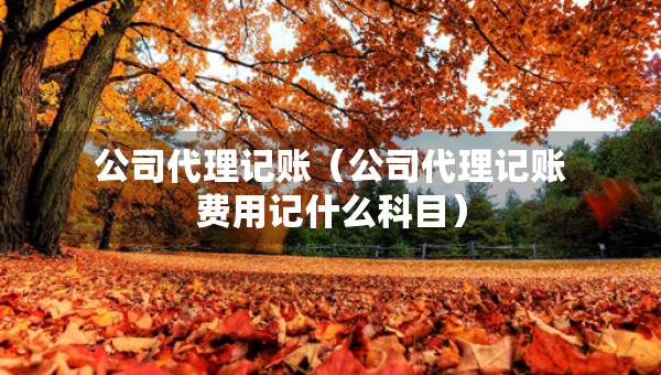 公司代理記賬（公司代理記賬費(fèi)用記什么科目）