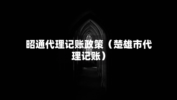 昭通代理記賬政策（楚雄市代理記賬）