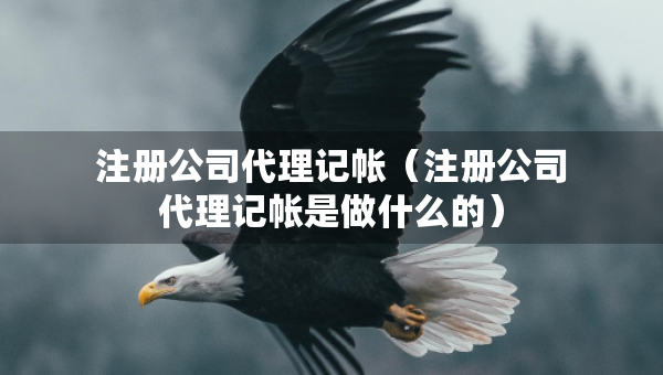 注冊(cè)公司代理記帳（注冊(cè)公司代理記帳是做什么的）