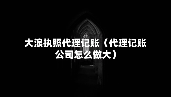 大浪執(zhí)照代理記賬（代理記賬公司怎么做大）