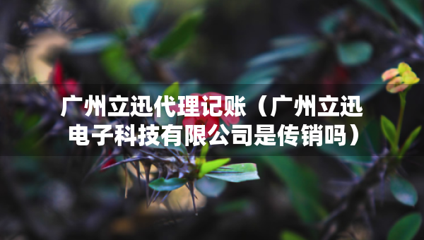 廣州立迅代理記賬（廣州立迅電子科技有限公司是傳銷嗎）