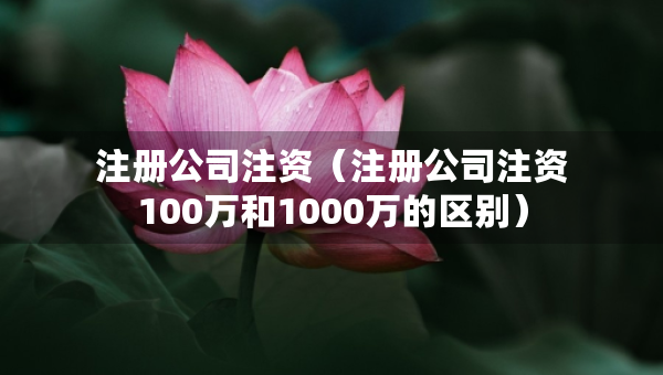 注冊(cè)公司注資（注冊(cè)公司注資100萬(wàn)和1000萬(wàn)的區(qū)別）