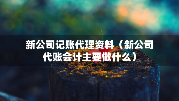 新公司記賬代理資料（新公司代賬會計主要做什么）