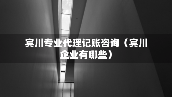 賓川專業(yè)代理記賬咨詢（賓川企業(yè)有哪些）