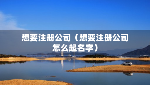 想要注冊(cè)公司（想要注冊(cè)公司怎么起名字）