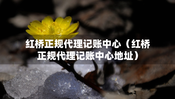 紅橋正規(guī)代理記賬中心（紅橋正規(guī)代理記賬中心地址）