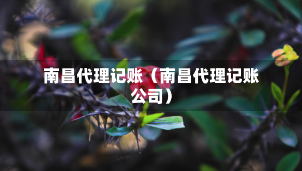 南昌代理記賬（南昌代理記賬公司）