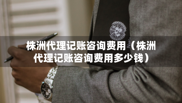 株洲代理記賬咨詢費用（株洲代理記賬咨詢費用多少錢）