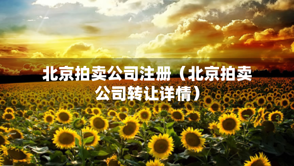 北京拍賣公司注冊(cè)（北京拍賣公司轉(zhuǎn)讓詳情）