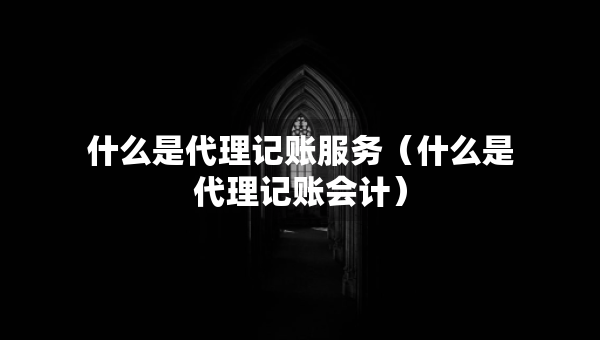 什么是代理記賬服務(wù)（什么是代理記賬會(huì)計(jì)）