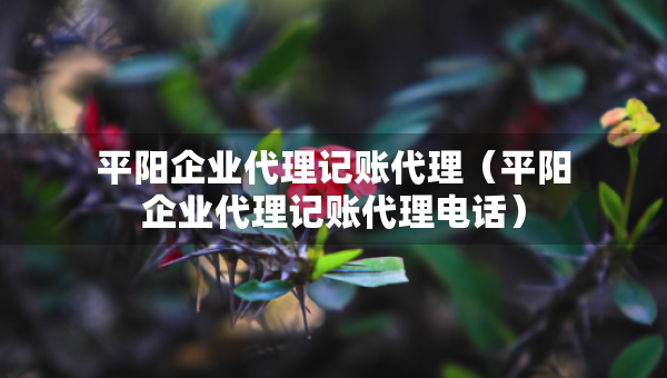 平陽企業(yè)代理記賬代理（平陽企業(yè)代理記賬代理電話）