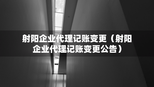 射陽企業(yè)代理記賬變更（射陽企業(yè)代理記賬變更公告）