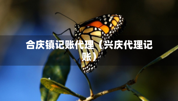 合慶鎮(zhèn)記賬代理（興慶代理記賬）