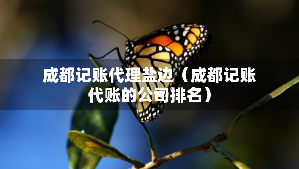 成都記賬代理鹽邊（成都記賬代賬的公司排名）